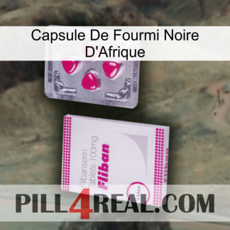 Africa Black Ant Capsule 32